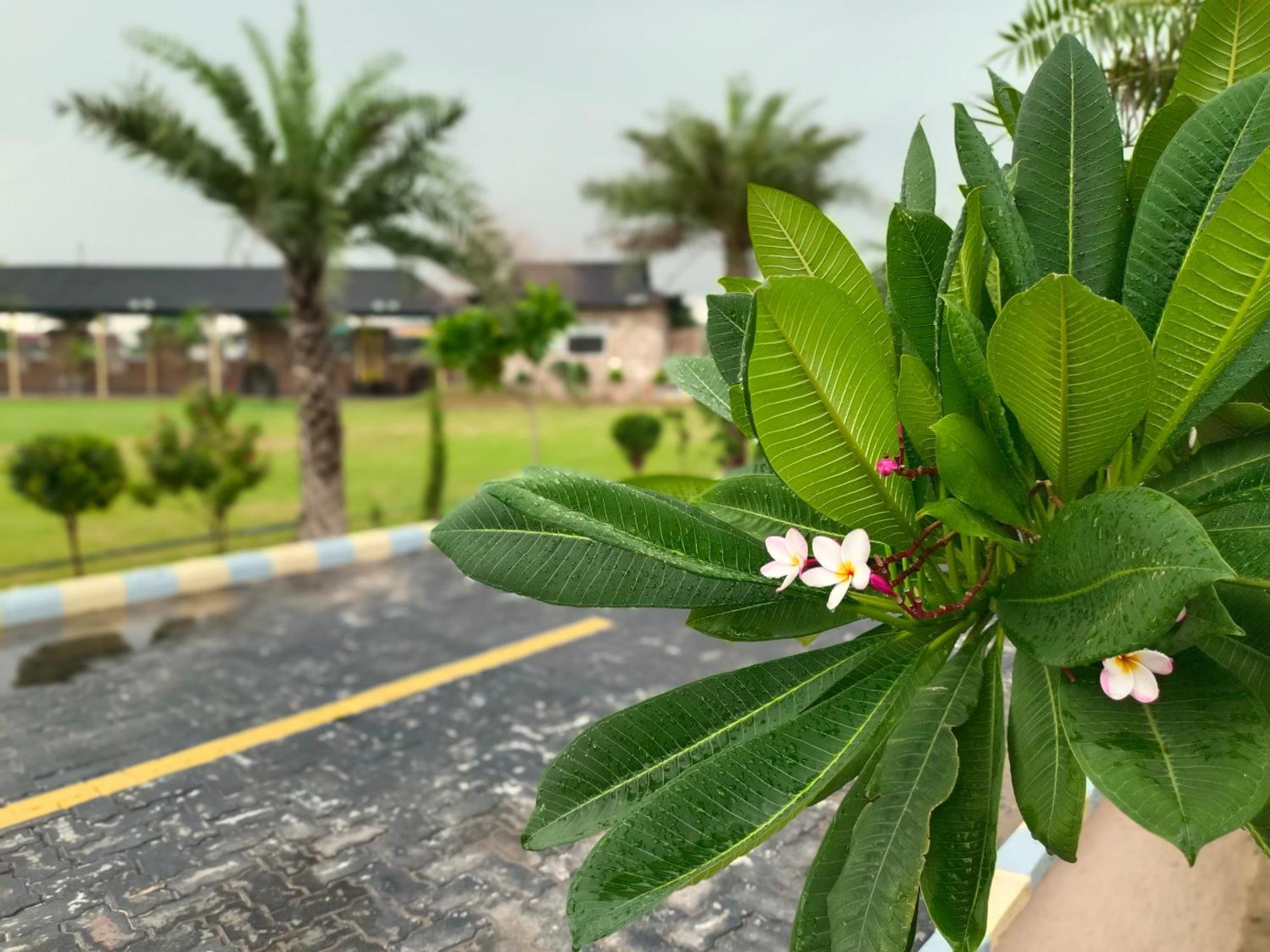 Royal Rajasthan Resort Sikar 외부 사진
